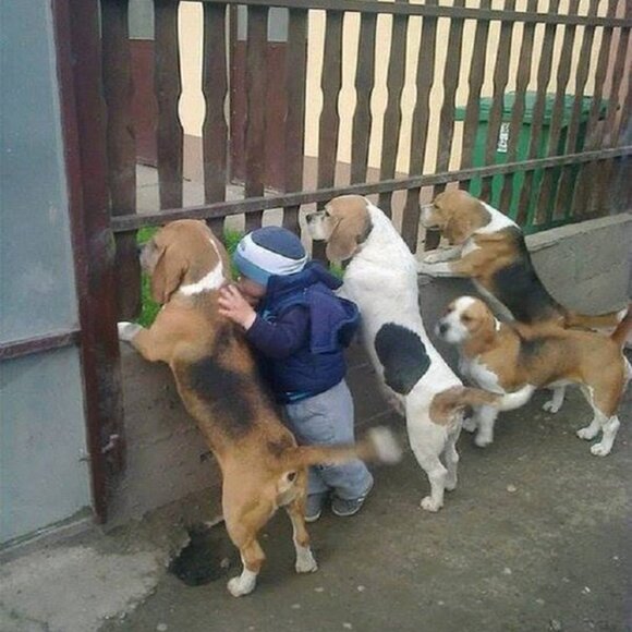 SMILE for the DAY!!! - Picture 10 of 12